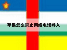 苹果怎么禁止网络电话呼入