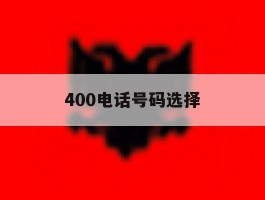 400电话号码选择