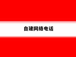 自建网络电话