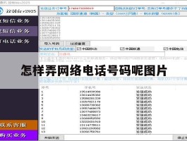 怎样弄网络电话号码呢图片