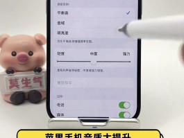 打电话变声怎么设置苹果12手机