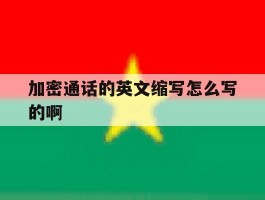 加密通话的英文缩写怎么写的啊