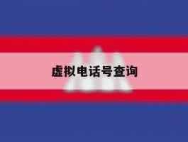 虚拟电话号查询