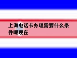 上海电话卡办理需要什么条件呢现在