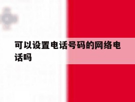 可以设置电话号码的网络电话吗