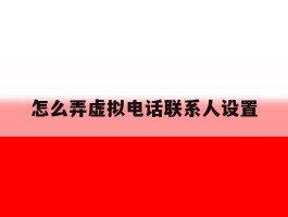 怎么弄虚拟电话联系人设置