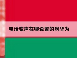 电话变声在哪设置的啊华为