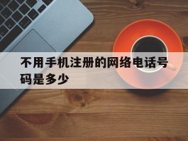 不用手机注册的网络电话号码是多少