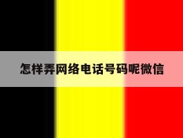 怎样弄网络电话号码呢微信
