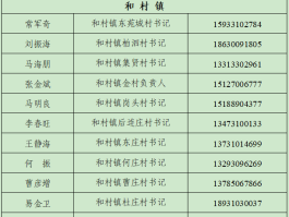 网络电话指定地方号码是什么号码啊