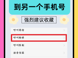 网络电话设置呼叫转移怎么设置不了