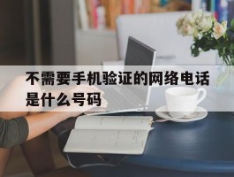 不需要手机验证的网络电话是什么号码