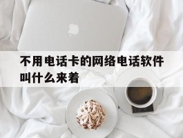 不用电话卡的网络电话软件叫什么来着