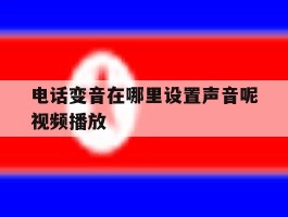 电话变音在哪里设置声音呢视频播放