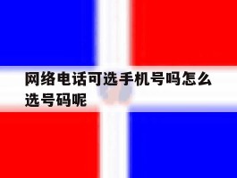 网络电话可选手机号吗怎么选号码呢