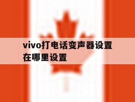 vivo打电话变声器设置在哪里设置