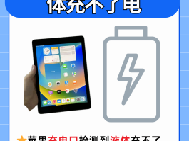 手机口进水了充不进电怎么办呢视频讲解下载的简单介绍