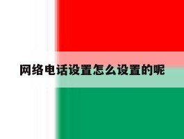 网络电话设置怎么设置的呢