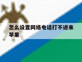 怎么设置网络电话打不进来苹果