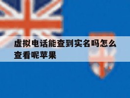 虚拟电话能查到实名吗怎么查看呢苹果