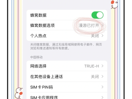 什么叫卫星通话服务器设置