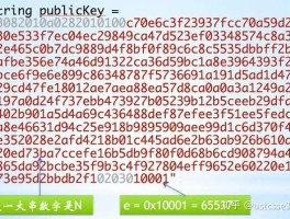 关于加密通话有什么用处吗知乎的信息