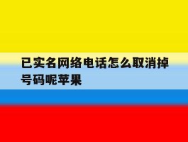已实名网络电话怎么取消掉号码呢苹果