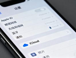 有没有打网络电话的软件啊苹果