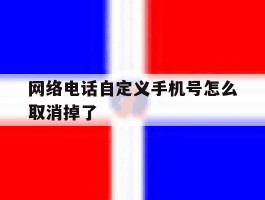 网络电话自定义手机号怎么取消掉了