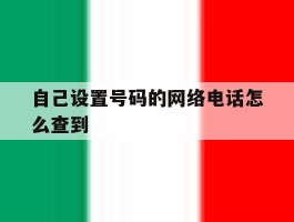 自己设置号码的网络电话怎么查到