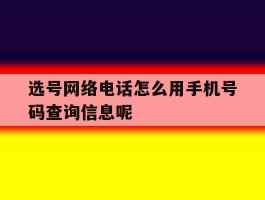 关于选号网络电话怎么用手机号码查询信息呢的信息