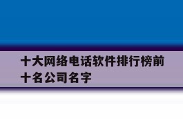 十大网络电话软件排行榜前十名公司名字的简单介绍