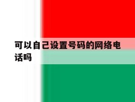 可以自己设置号码的网络电话吗