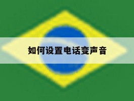 如何设置电话变声音