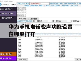 华为手机电话变声功能设置在哪里打开