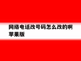 网络电话改号码怎么改的啊苹果版