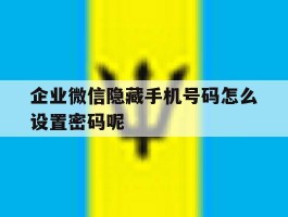 企业微信隐藏手机号码怎么设置密码呢