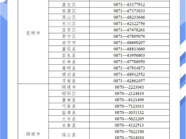 可以选择归属地的网络电话是什么