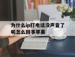 为什么ip打电话没声音了呢怎么回事苹果