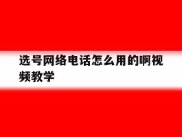 选号网络电话怎么用的啊视频教学