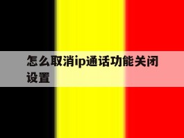 怎么取消ip通话功能关闭设置