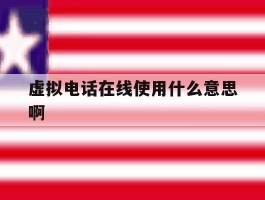 虚拟电话在线使用什么意思啊