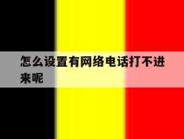 怎么设置有网络电话打不进来呢