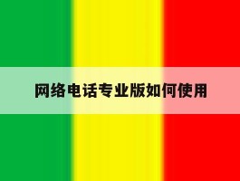 网络电话专业版如何使用