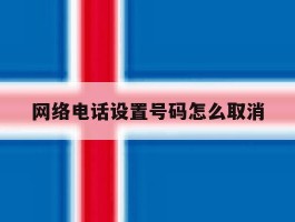 网络电话设置号码怎么取消