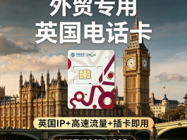 英国电话卡怎么查号码信息的