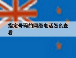 指定号码的网络电话怎么查看