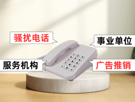 什么网络电话可以改显示号码名字