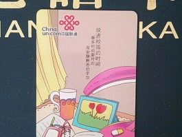 如果使用网络电话怎么设置密码登录