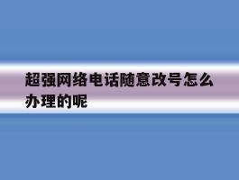 关于超强网络电话随意改号怎么办理的呢的信息